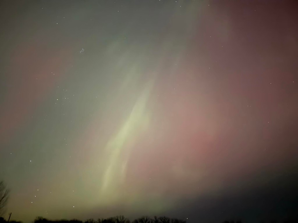 pink green creamy/cloudy streaks some tops of dark trees at the bottom of the picture
