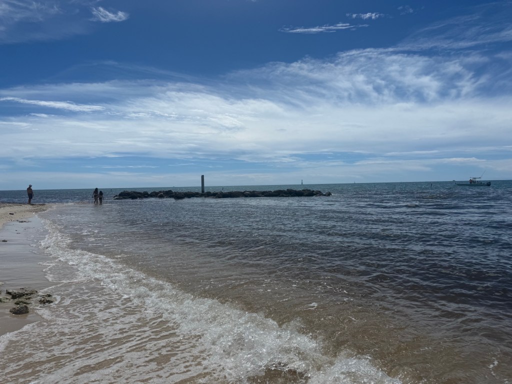 beach shoreline with blue sky and brown sand 