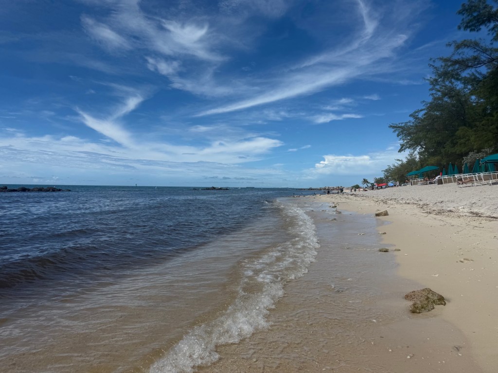 beach shoreline with blue sky and brown sand 